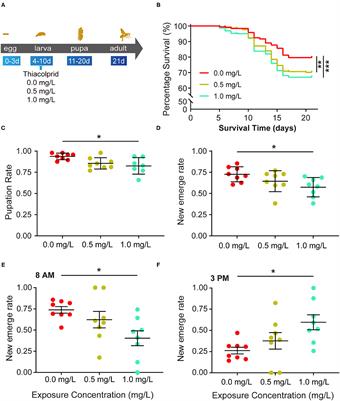 Exposure of Larvae to Sublethal Thiacloprid Delays Bee Development and Affects Transcriptional Responses of Newly Emerged Honey Bees